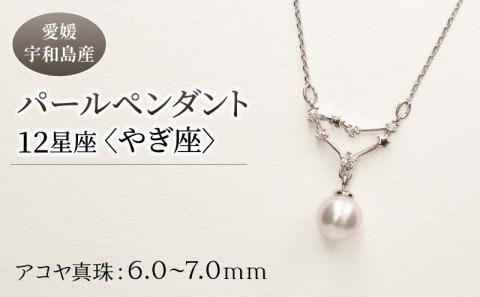 パール ペンダント 12星座 6.0-7.0mm 土居真珠 やぎ座 星座 真珠 アクセサリー ネックレス パールネックレス アコヤ真珠 本真珠 特産品 国産 愛媛 宇和島 A058-012010