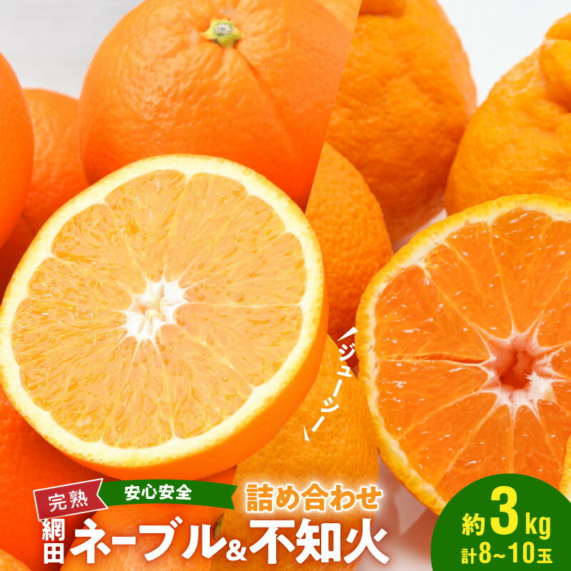 【ふるさと納税】網田ネーブル 不知火 詰め合わせ 約 3kg 半分ずつ 8玉 〜 10玉 ネーブル オレンジ フルーツ 果物 常温 安心安全 ジューシー 酸味 甘み 国産 ビタミンC 果汁 食べ比べ お取り寄せ お取り寄せスイーツ 送料無料【熊本県宇土市】