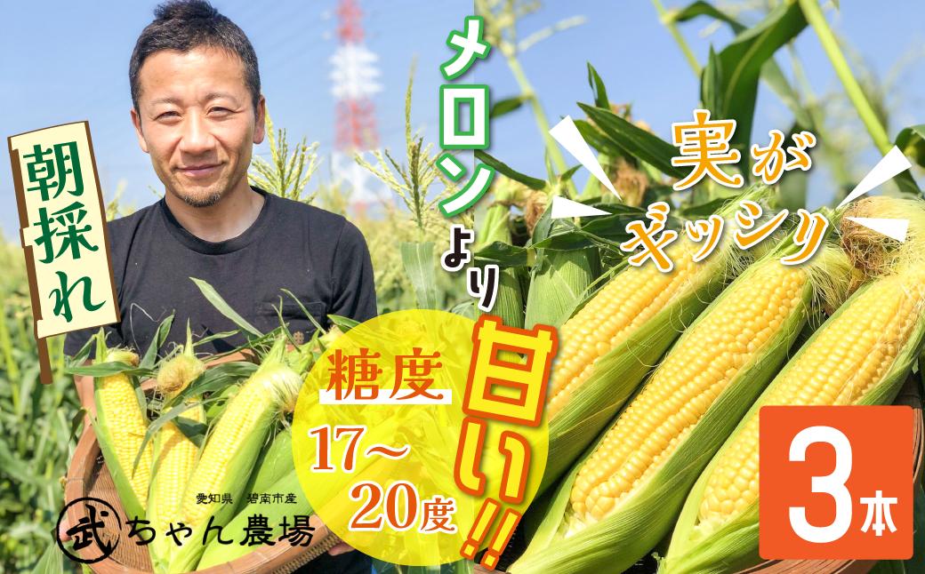 
            【2025年発送】朝採り直送 メロンより甘い 生とうもろこし“にっこりコーン” 3本 H095-028
          