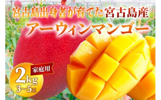 
                  【家庭用】宮古島産マンゴー2kg ＜リトルグローブ＞（LT004）
                
