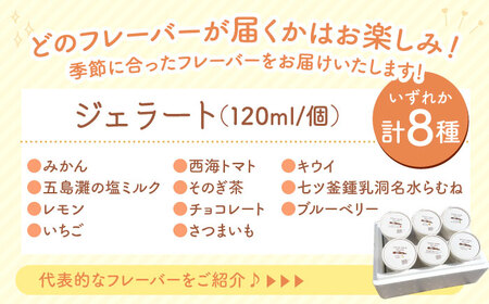 【西海のこだわり素材！】 ジェラート 8個 ＜みかんドーム＞ [CAI026] ジェラート アイス ジェラート アイス ジェラート アイス お試し バラエティ セット ジェラート アイス 詰め合わせ 