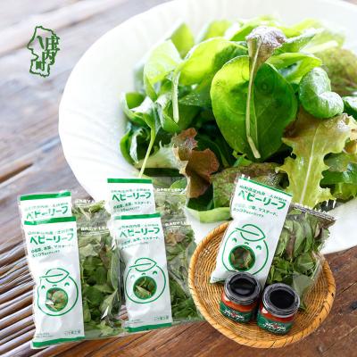 ふるさと納税 庄内町 庄内産 ベビーリーフミックス 50g×5袋と国内加工サルサソースセット 土耕栽培 サラダ タコス
