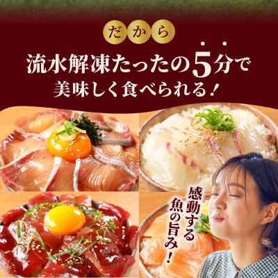 ふるさと納税 延岡市 日向灘ブリ・日向灘真鯛・近海マグロ・生サーモンの海鮮丼/4種食べ比べセット(8パック入り) |  | 03