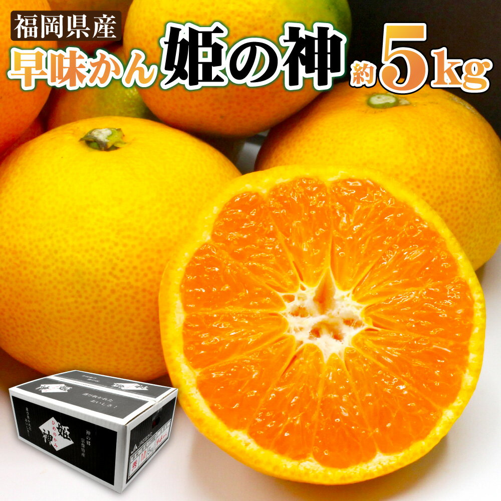 【ふるさと納税】 JAむなかた ブランドみかん 【姫の神】 （早味かん） 約5kg みかん ミカン 蜜柑 姫の神 早味かん 極早生みかん 柑橘 柑橘類 フルーツ くだもの 果物 冷蔵 福岡県産 送料無料 【2025年9月中旬より順次発送】[F2281a]