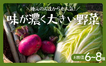【先行予約】お野菜セット 旬の冬野菜と平飼い卵のお楽しみボックス【2025年12月上旬順次発送予定】【野菜 卵 セット 新鮮野菜 新鮮卵 詰め合わせ 農家直送 旬野菜 季節限定 旬の味覚 鍋 平飼い 