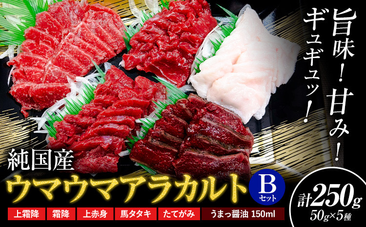 
            馬刺し 純国産 ウマウマ アラカルト Bセット（たてがみ） 専用醤油付き 50g ×5種 計250g 有限会社九州食肉産業《30日以内に出荷予定(土日祝除く)》熊本県 産山村 純国産 馬刺し 国産 熊本肥育 馬刺 馬肉 詰め合わせ 贈答用 ギフト お中元 お歳暮
          