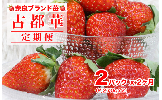 【2026年発送先行予約】【定期便 全２回】苺 古都華(ことか) いちご 奈良 270g x 2パック 計540g ２ヶ月連続 ブランドいちご かたおかの苺 いちご 苺 奈良ブランド苺 イチゴ ブランド 古都華 大粒 苺 旬 産地 直送 フレッシュ イチゴ フルーツ 果物 国産 ベリー 贈答用 プレゼント 人気苺 ふるさと納税苺 ふるさと苺 furusato苺 おすすめ苺