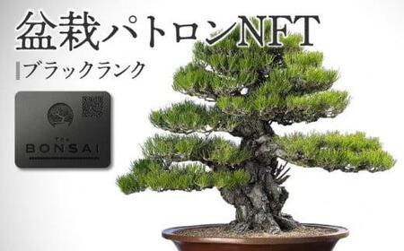 NFT クラウドファンディング 盆栽パトロン 高松盆栽 支援 非日常体験 盆栽パトロンNFT ブラックランク【T183-002】