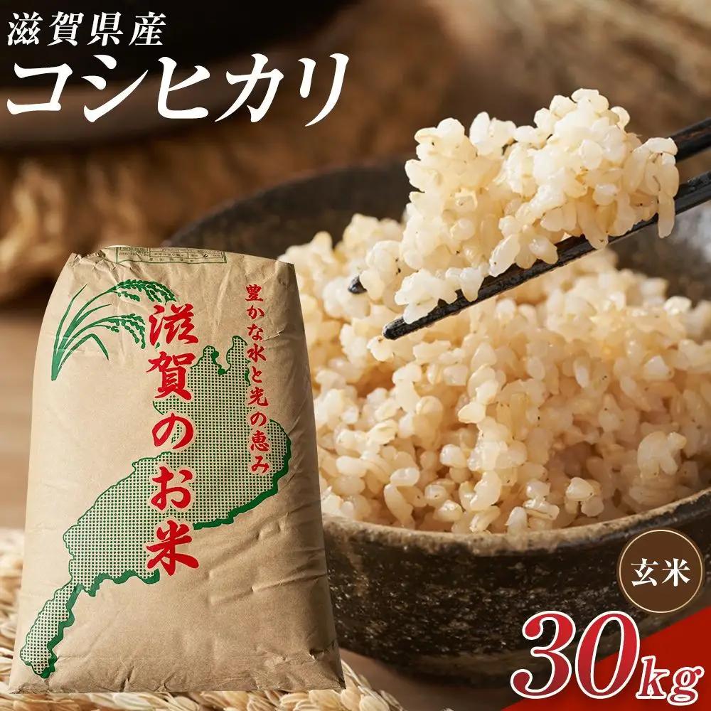 【令和8年産 新米】近江米コシヒカリ玄米30kg