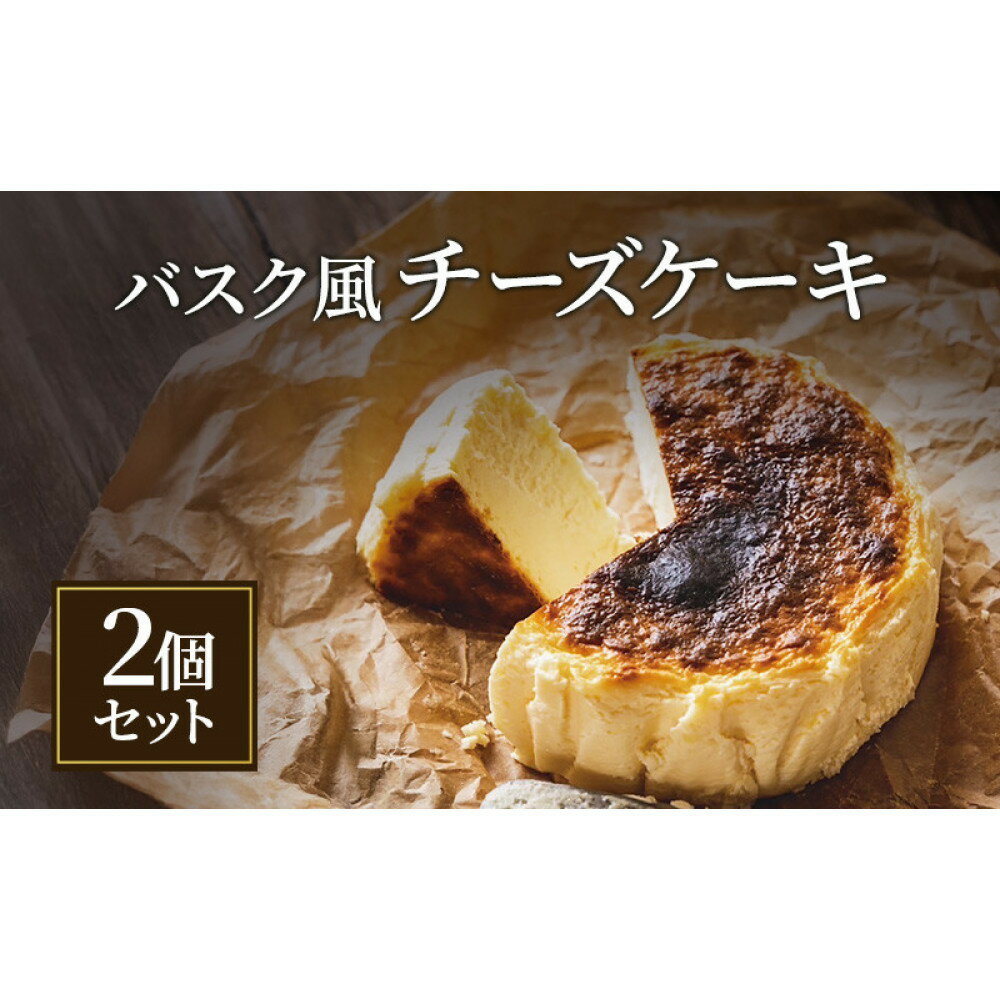 【ふるさと納税】バスク風チーズケーキ 2個 セット 軽井沢トルタ 長野 チーズケーキ バスクチーズケーキ