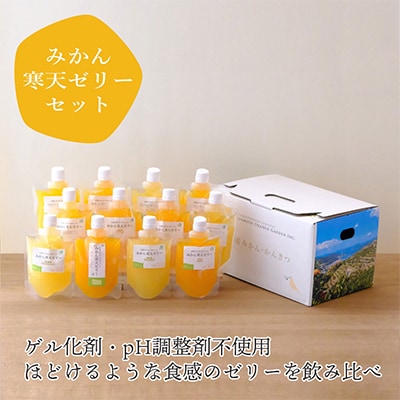 【毎月定期便】おいしい愛媛みかんを使用!こだわりのみかん加工品定期便全3回【G25−153】【4012887】