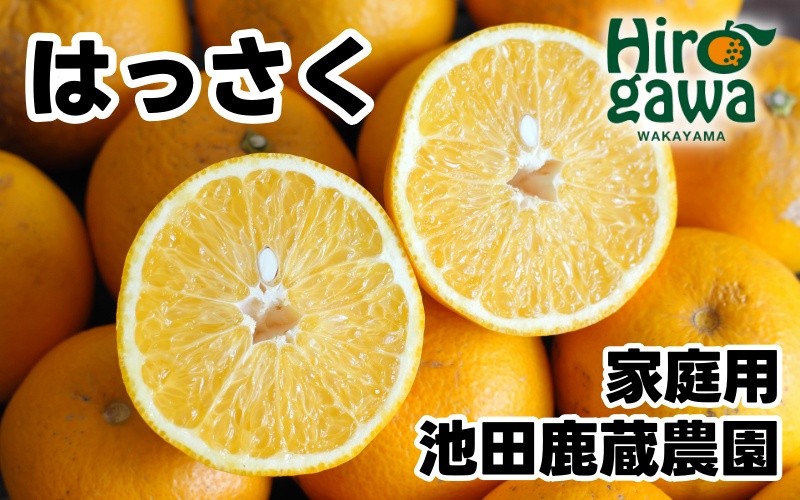 
                  はっさく 5kg+250g（痛み補償分） 家庭用 光センサー / 八朔 訳あり 甘い 和歌山 有田 柑橘 ※1月上旬〜4月下旬頃に順次発送予定 ※北海道・沖縄・離島への配送不可 【ikd021-c-5A】
                