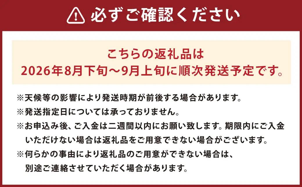 時津町産 BKシードレス 約1.8kg ぶどう 果物 くだもの フルーツ 【2026年8月下旬～9月上旬迄発送予定】