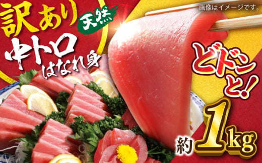 【訳あり】天然 まぐろ 中トロ はなれ身（約1kg） 鮪 マグロ 魚 刺身 横須賀【横須賀商工会議所 おもてなしギフト事務局（本まぐろ直売所）】 [AKAK014]