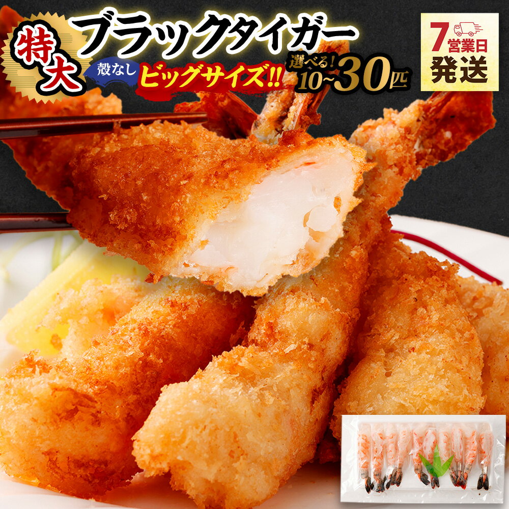 【ふるさと納税】【選べる容量】特大ブラックタイガー（殻なし）ビッグサイズ 10匹 / 20匹 / 30匹【入金確認後7営業日程度で発送 ｜ ブラックタイガー 冷凍エビ 特大エビ 海老 殻剥き エビフライ 天ぷら エビチリ お取り寄せ 訳あり ギフト 大阪府 阪南市 送料無料