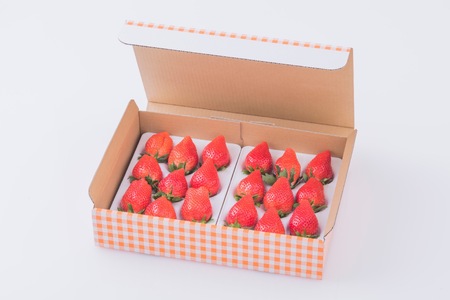 金井いちご園のいちご（やよいひめ）　3箱（大粒いちご約400ｇ×2パック／1箱）