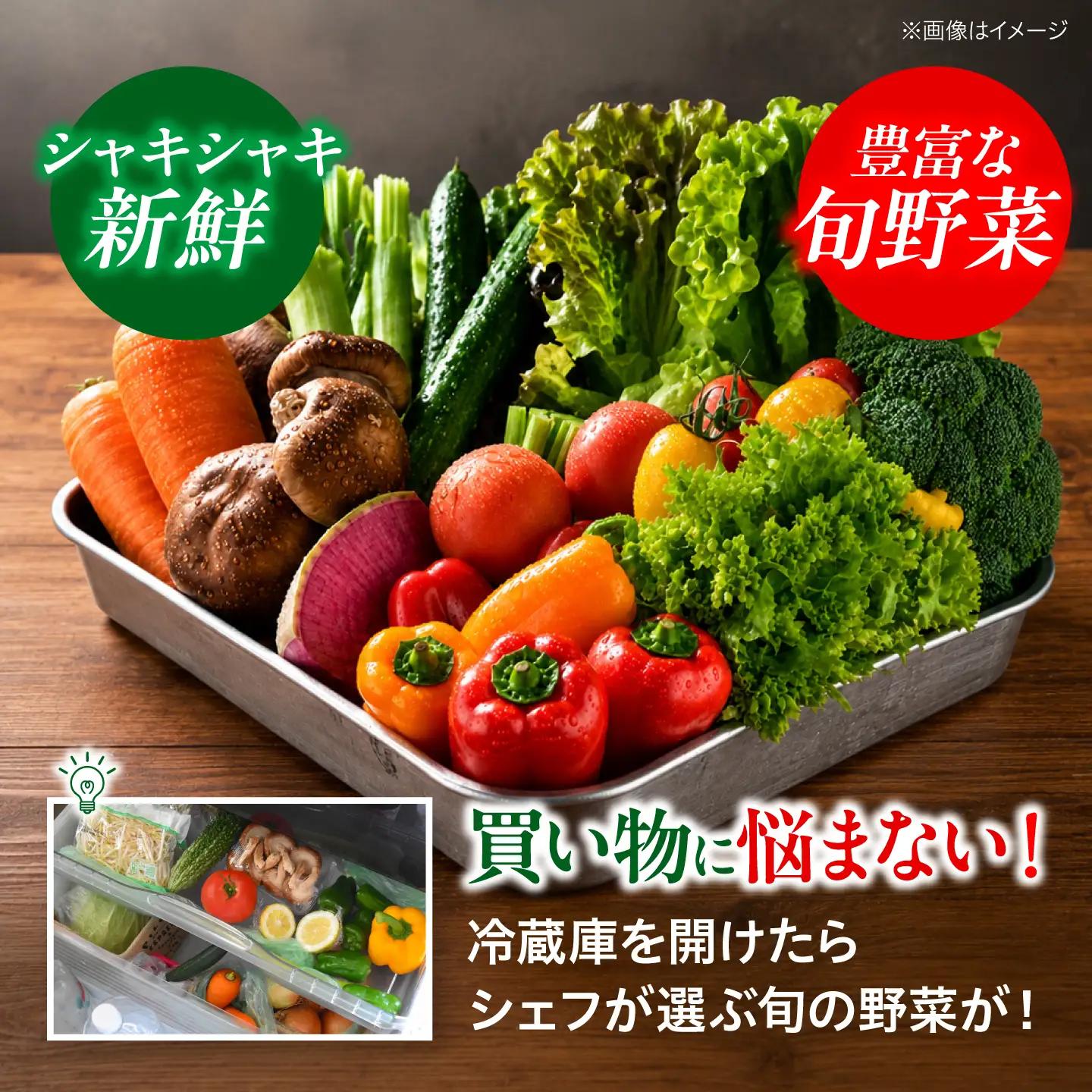 野菜セット（12-16種）野菜 詰め合わせ [AGBX003]