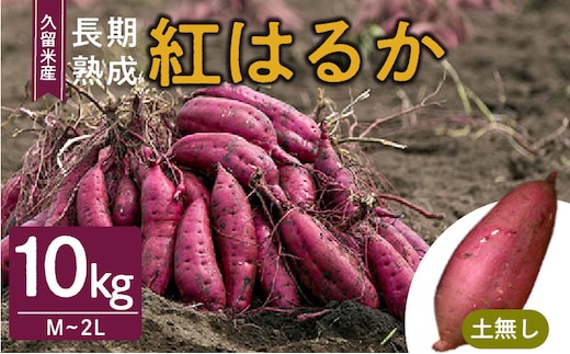
										
										福岡県久留米市産 長期熟成紅はるか 10kg M～2L 土なし
									