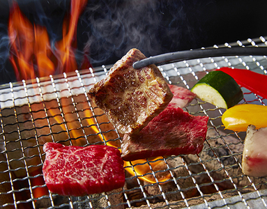 A4A5等級未経産雌牛　特選近江牛おすすめ部位　焼肉3種盛り　300ｇ【FO29SM】