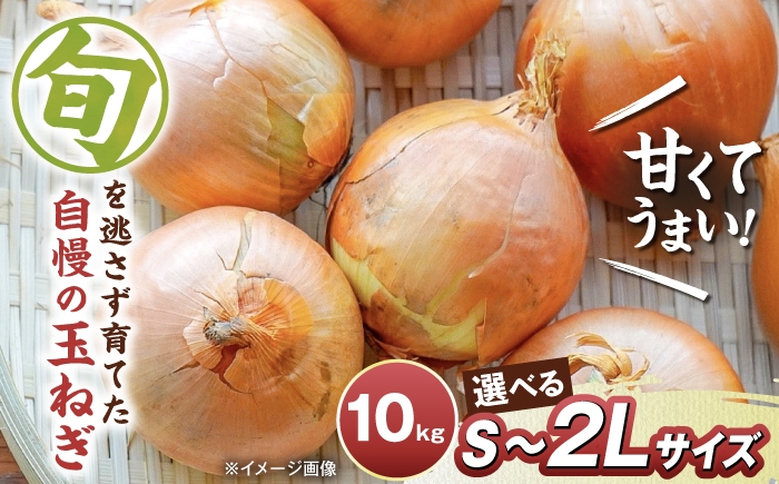 
                  【先行予約】【選べるサイズ】玉ねぎ10kg S～２Lサイズ  玉ねぎ たまねぎ タマネギ 玉ねぎ 玉葱 オニオン 旬 玉ねぎ 人気 おすすめ 滋賀県長浜市/柏本農園株式会社 [AQDZ009]
                