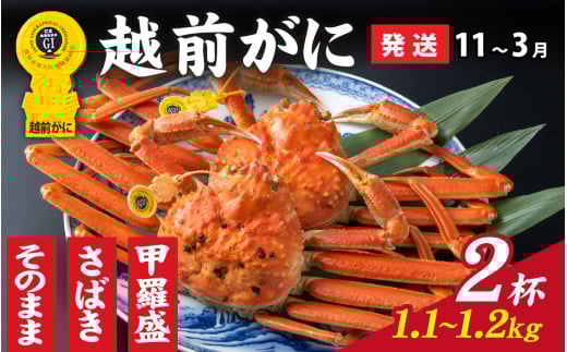 【先行予約】選べる！美味しさ直送【成前特選】越前かに（1.1kg～1.2kg）×2杯【11月～3月発送】甲羅盛  [P-028061_07] / 福井県 福井 オス 雄 ズワイガニ ボイル 冷蔵 越前ガニ 越前がに 越前カニ ずわいがに ずわい蟹 かに カニ 蟹 指定 茹で 甲羅盛り 甲羅盛