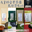 【ふるさと納税】お茶 緑茶 天皇杯受賞茶園栽培茶　4種　計9袋セット（プレミアム1袋・2番茶仕上げ3袋・ティーバッグ3袋・ほうじ茶2袋） 山英〔 天皇 天皇杯 静岡 掛川茶 煎茶 最高級茶 普段使い ティーバッグ ほうじ茶 〕