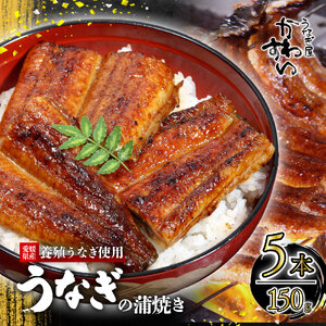【うなぎ】〈うなぎ屋かわすい〉愛媛県松山市養殖うなぎを使用！うなぎ蒲焼 5本 (1尾：150～169g)   【KWS01001】