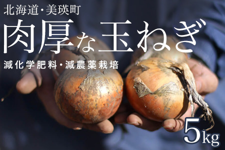 【令和8年産予約受付】玉ねぎ 5kg 北海道産玉ねぎ 本山農場