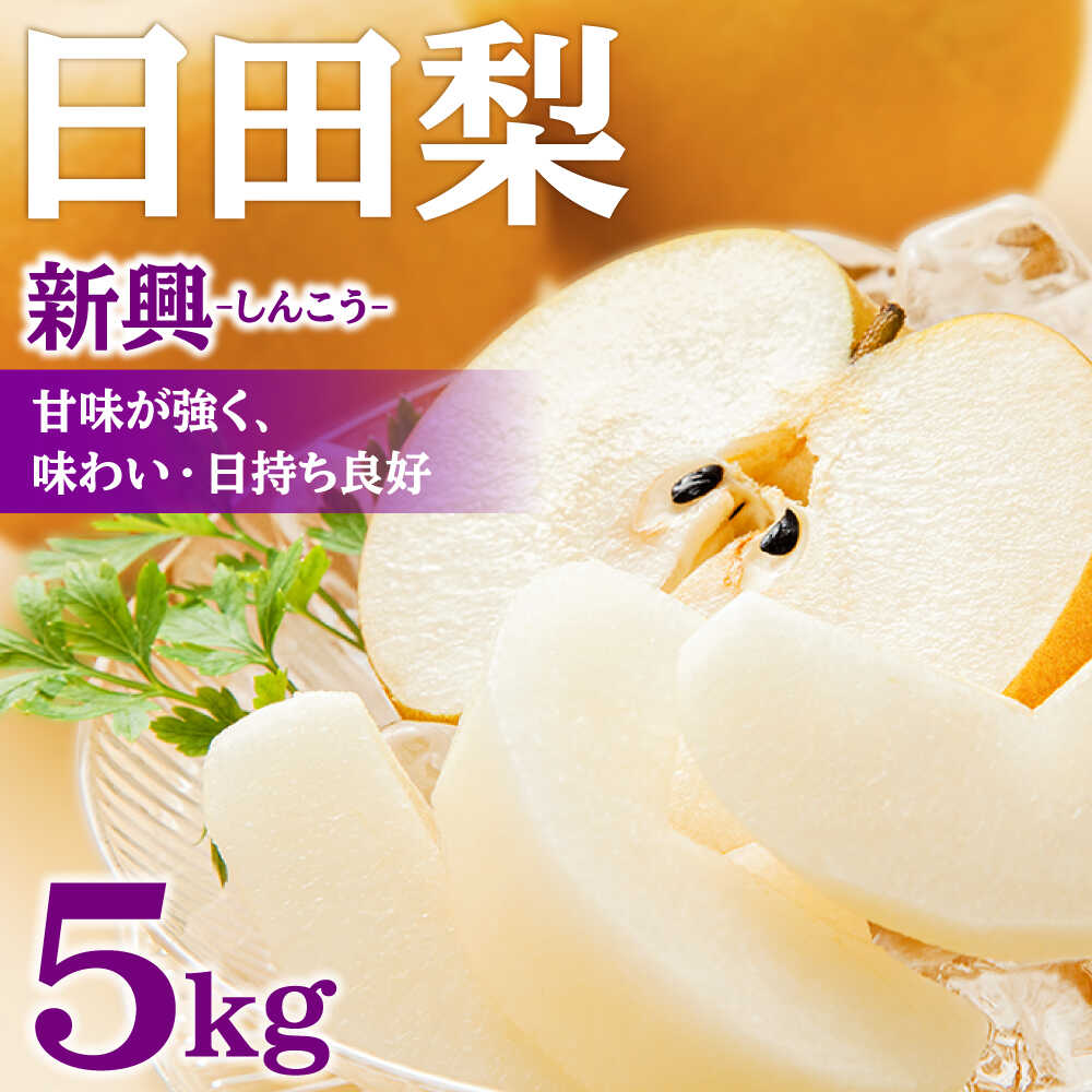 【ふるさと納税】【先行予約・25年10月以降発送】日田梨 新興 5kg 日田市 / 日田梨協同組合 梨 なし ナシ 新興 フルーツ 果物 旬 デザート 旬の梨 ひた梨 [ARBB005]