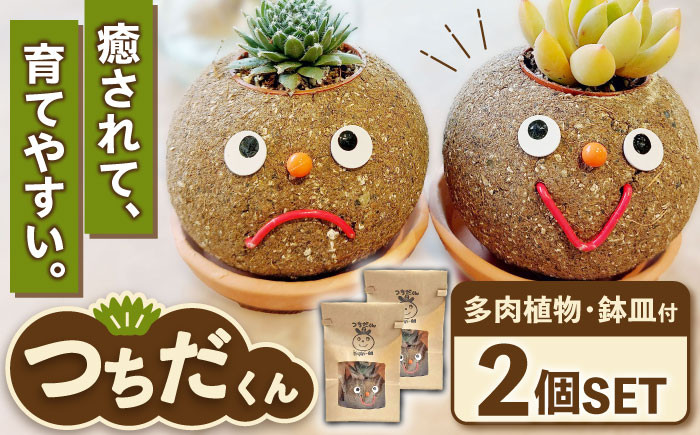 
                  つちだくん2個セット  多肉 ポット セット 愛西市 / 花のひより園 [AEAX003]
                
