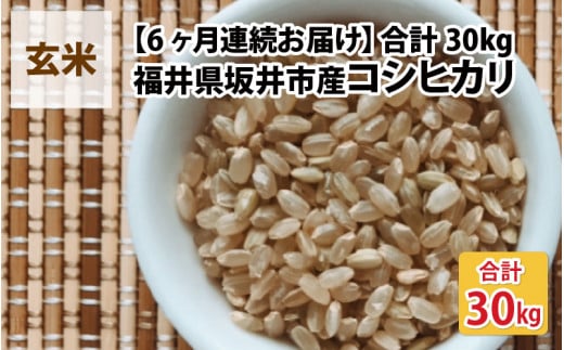 【先行予約】【令和7年産・新米】【6ヶ月連続お届け】福井県坂井市丸岡町産 コシヒカリ5kg×6回　計30kg（玄米）【2025年10月より順次発送予定】 [I-11302_02]