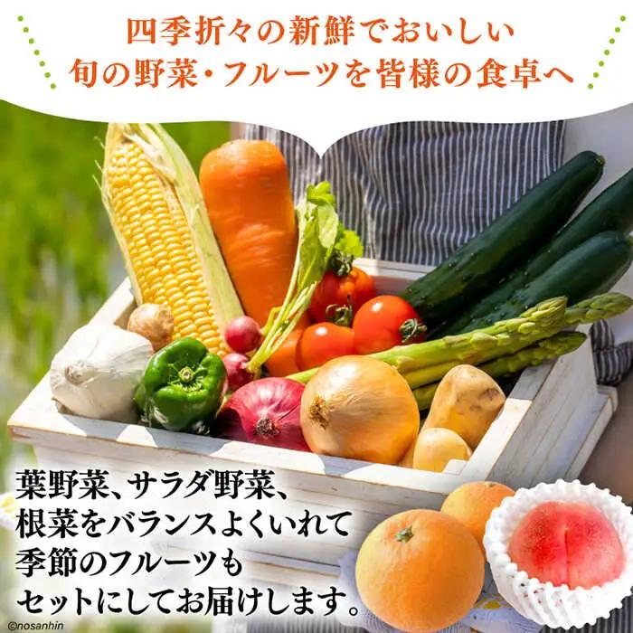【6回定期便】2ヵ月に1回　「旬の野菜・フルーツ」 詰め合わせ セット（13品-15品）/ 野菜 定期便 やさい 定期便 野菜セット やさいセット 春野菜 夏野菜 秋野菜 冬野菜 旬新鮮 / 南島原市