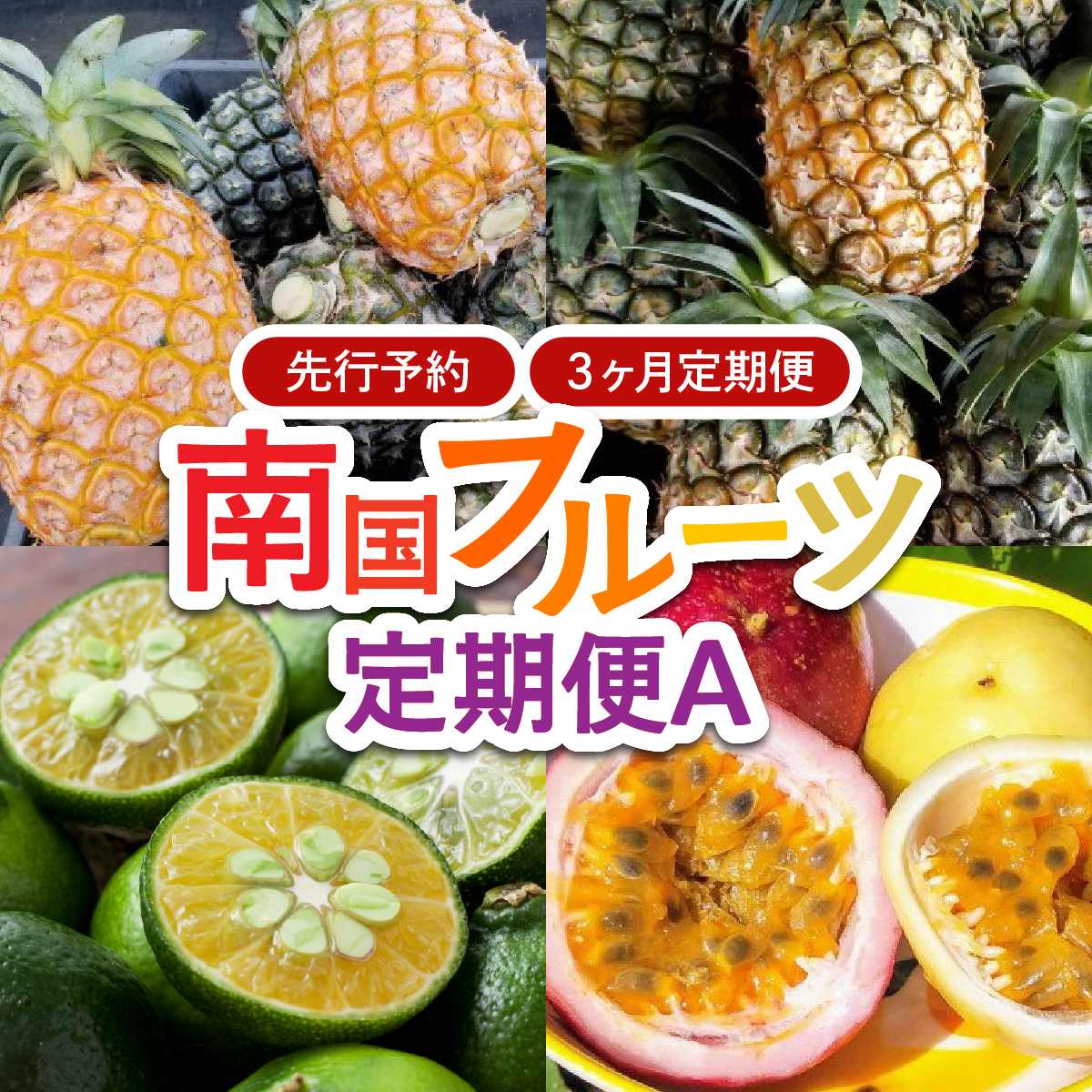 2026年 先行予約 定期便 3ヶ月 南国フルーツ 定期便A パイン シークワーサー 計4種類 果物 フルーツ 3回 お楽しみ