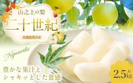 《先行予約》 「山之上果実農業協同組合」 山之上の梨 二十世紀 1箱 約 2.5kg 【2026年9月上旬-10月上旬 発送予定】