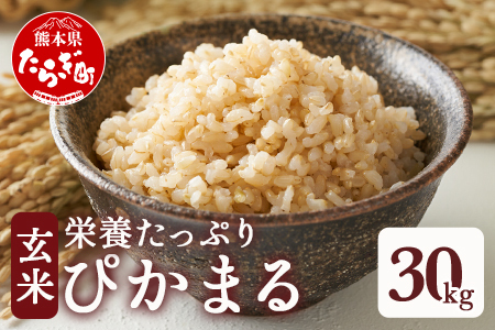 【令和6年産 玄米 】 多良木町産 『ぴかまる』 30kg 玄米 熊本県 たらぎ お米 米 艶 粘り 甘み うま味 やわらか 熊本のお米 30キロ 栄養価 げんまい 044-0599