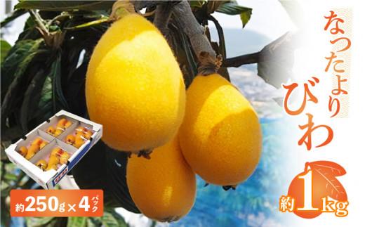 なつたよりびわ　約1kg (約250g×4パック)【2027-5月中旬～2027-6月中旬配送】