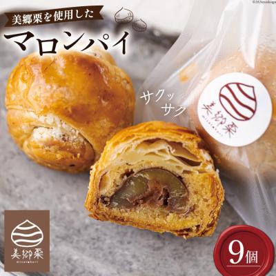 ふるさと納税 美郷町 菓子 栗マロンパイ 9個 栗菓子工房みず穂屋 宮崎県 美郷町 和栗 スイーツ [31at0021]