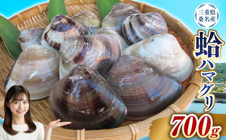 【指定日必須】 丸元水産 桑名産蛤（ハマグリ）0.7kg はまぐり 魚介 貝 魚貝 活はまぐり 焼きはま 海鮮 網焼き 酒蒸し お吸い物 パエリア パスタ 【2025年9月下旬から2026年6月下旬発送予定】
