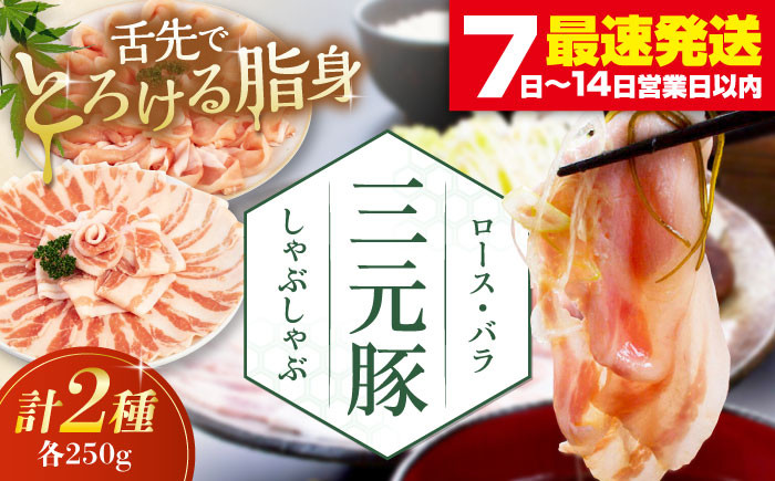 
            平田牧場 しゃぶしゃぶセット 500g (ロース・バラ) ※だし・昆布ナシ 《喜茂別町》【平田牧場】 しゃぶしゃぶ すき焼き 豚肉 豚ロース 三元豚 ロース バラ 豚バラ セット [AJAP066] 9000 9000円
          