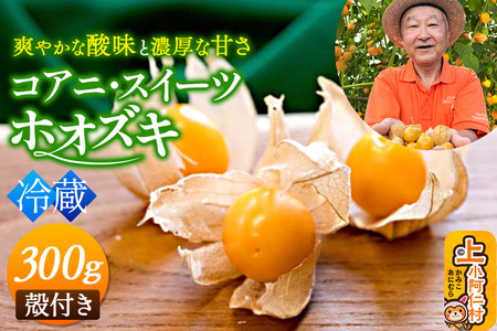 《冷蔵》コアニ・スイーツホオズキ 300g（150g×2パック） 殻付き 生食用 ほおずき ゴールデンベリー スーパーフード たじゅうろう農園