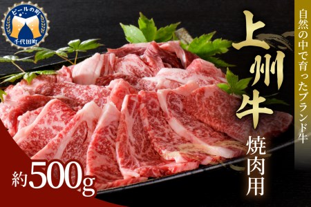 牛肉 焼肉 用 【上州牛】 肩ロース 500g ※沖縄・離島地域へのお届け不可 群馬県 産 千代田町 ブランド牛 バーベキュー BBQ 食品 冷凍 グルメ キャンプ ソロキャン アウトドア 送料無料 お取り寄せ ギフト 贈り物 贈答用 プレゼント