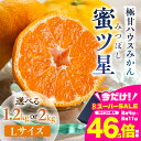 【ふるさと納税】≪夏が旬！≫ 超濃厚ハウスみかん『蜜ツ星』 秀品 選べる 1.2kg / 2kg (Lサイズ10玉 〜18玉) みかん 高級 高糖度 ギフト 贅沢 蜜柑 ミカン 柑橘 フルーツ 数量限定 季節限定 濃厚 化粧箱入り Lサイズ 詰め合わせ 豊橋