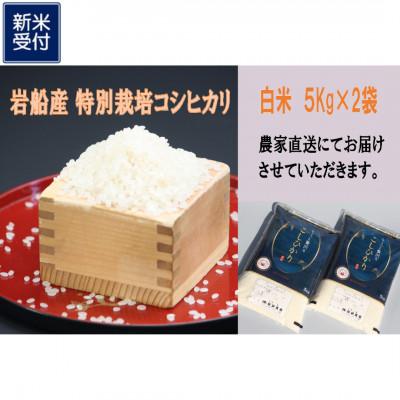 ふるさと納税 村上市 【新米受付・令和8年産米】新潟県村上市岩船産 特別栽培米ちょっと贅沢なコシヒカリ 10kg 048N