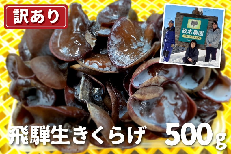 
                  【訳あり】生きくらげ 500g　政木農園 キクラゲ 飛騨 簡易包装 訳アリ わけあり ワケアリ 家庭用 飛騨市
                