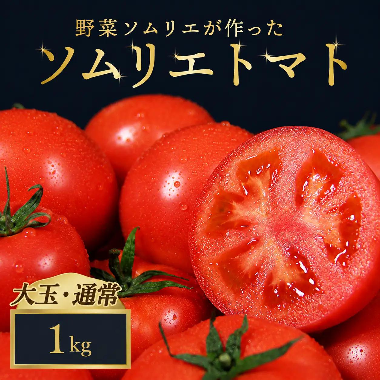 トマト 大玉 1kg｜レッドアップ ※置き配でお届け