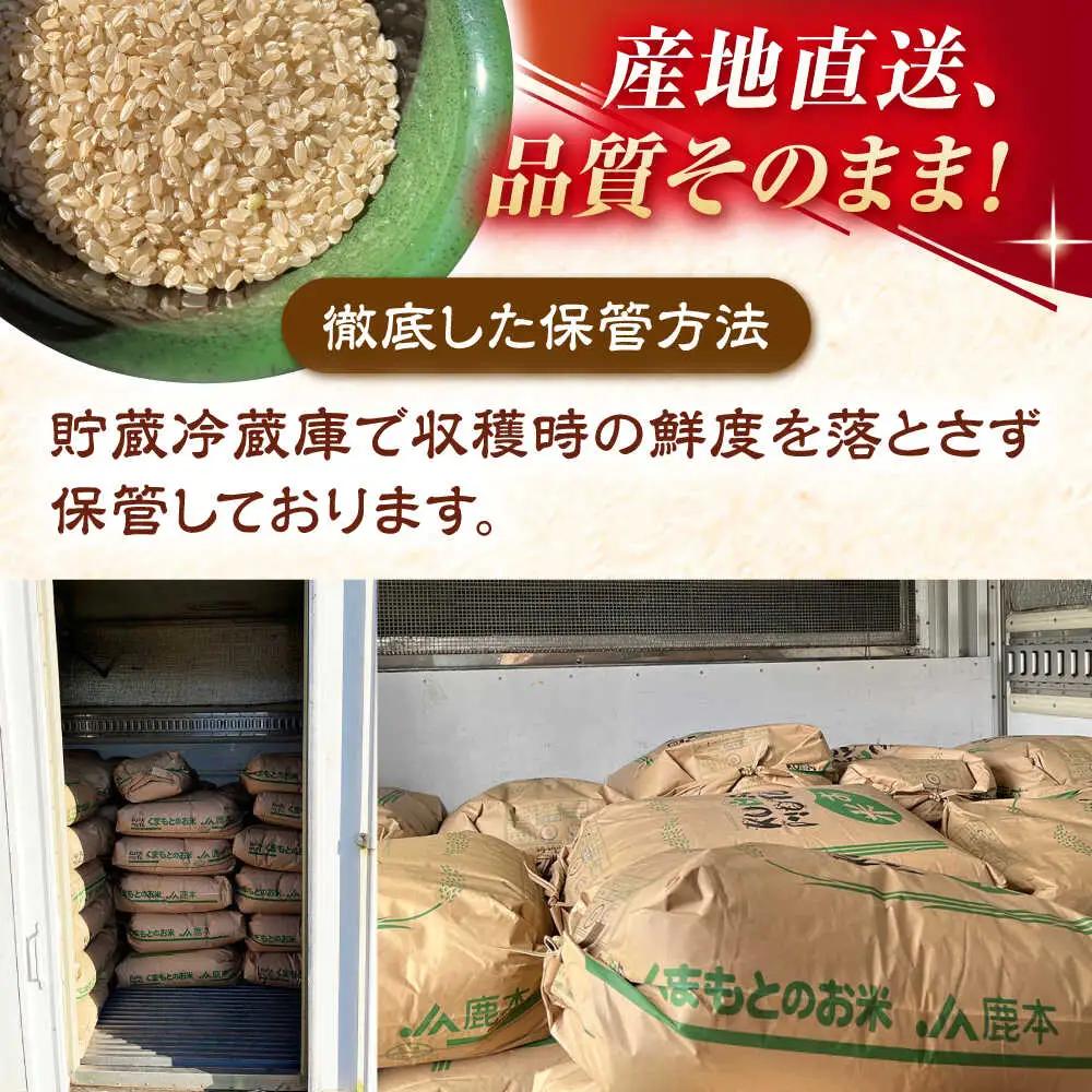 〈令和7年度産米〉 【先行予約】 【天日塩を使用】一鹿米 旭一号 米 玄米 5kg【株式会社 夢アグリ】 令和7年産 [ZCL015]