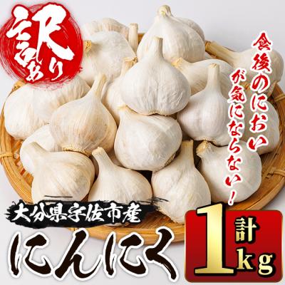 ふるさと納税 宇佐市 食後のニオイが気にならないニンニク 1kg 訳あり 大容量【116600200】【シイズンドアグリ】