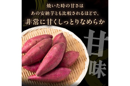 丹後産　さつまいも　紅はるか3kg　2025年3月下旬～配送