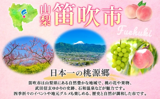 すもも 大石早生 6パック 約1.4kg スモモ プラム フルーツ 果物 産地直送 旬 果実 甘酸っぱい 爽やか 果汁 ジューシー こだわり 新鮮 人気 美味しい おやつ 贈答 ギフト 贈り物 村松農