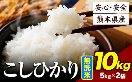 令和6年産 こしひかり 10kg 《7-14日以内に出荷予定(土日祝除く)》令和6年産 熊本県産 ふるさと納税 無洗米 ひの 米 こめ ふるさとのうぜい コシヒカリ コメ お米 おこめ